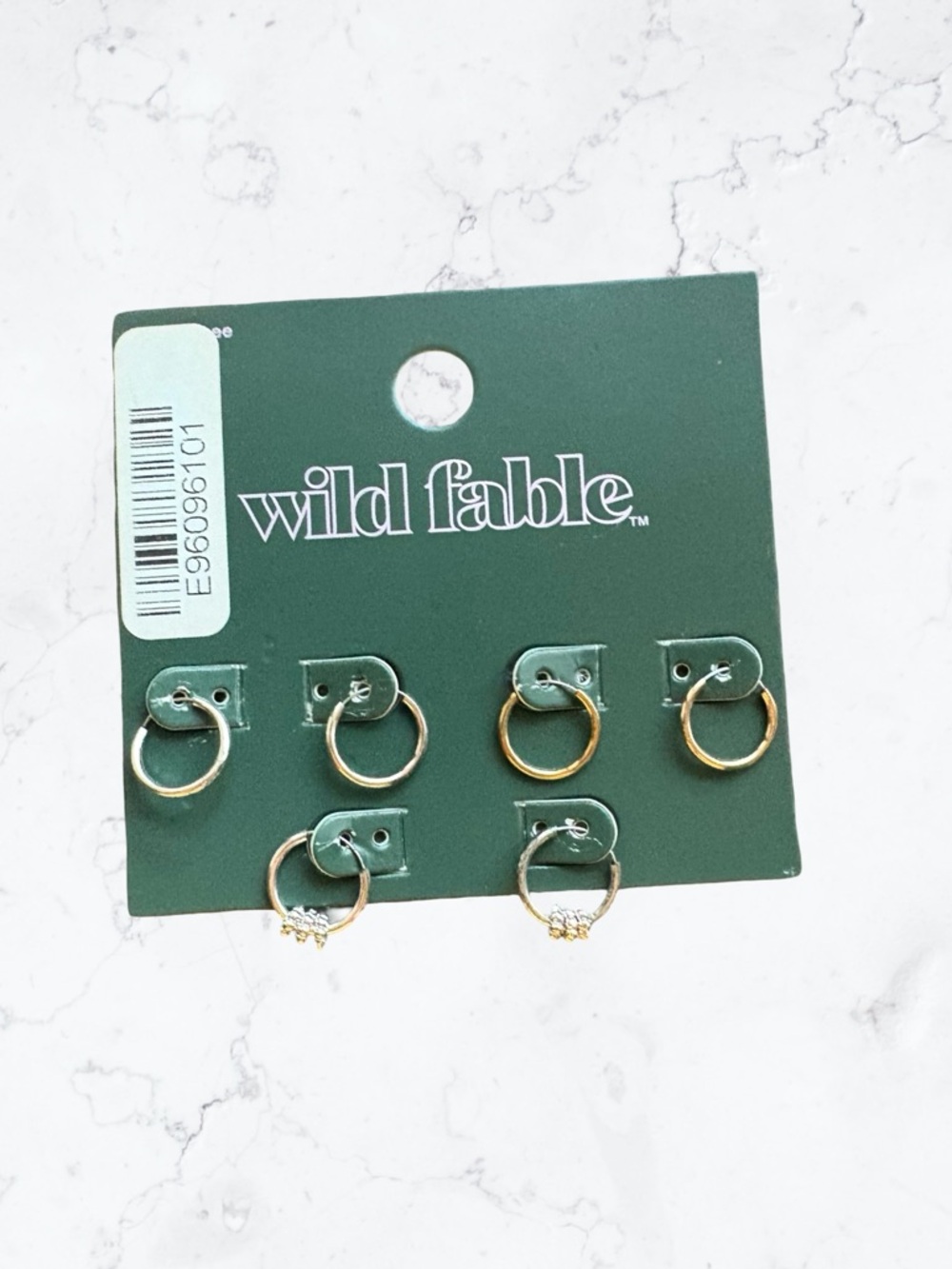wild fable Gold Hoop Earring Set